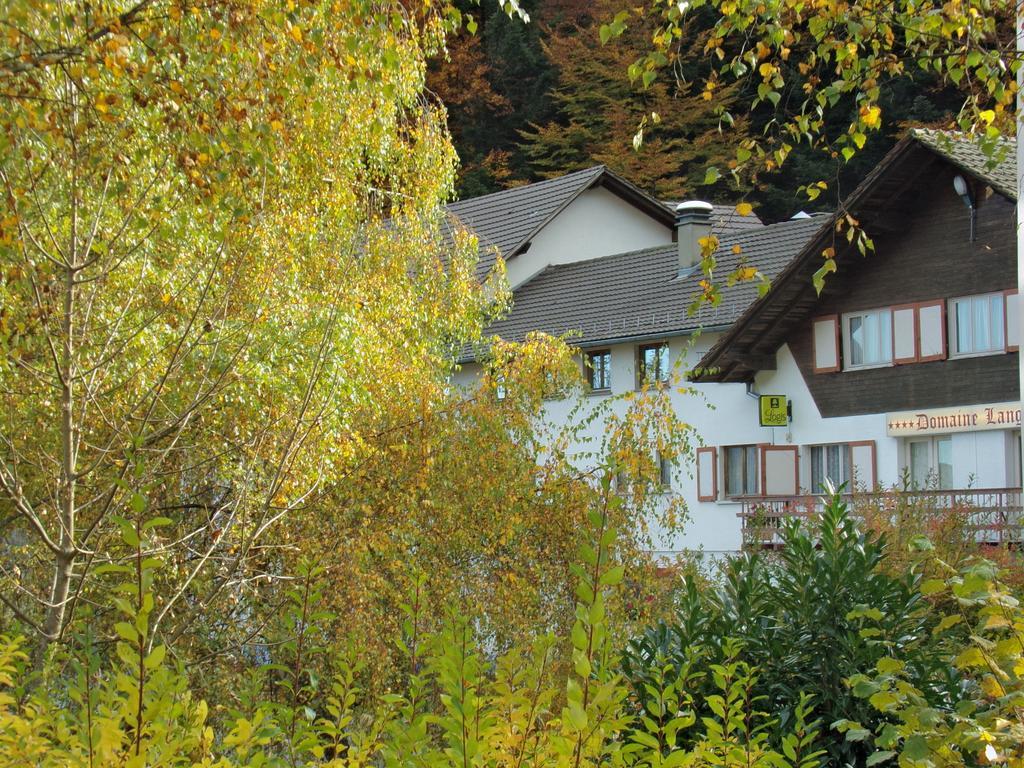 Hotel-spa & Restaurant Logis Domaine Langmatt 4* Murbach