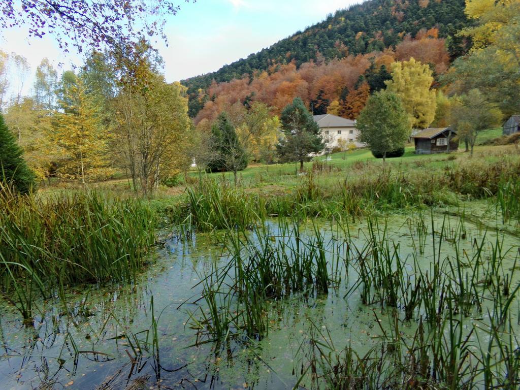 Hotel-spa & Restaurant Logis Domaine Langmatt Hotel Murbach
