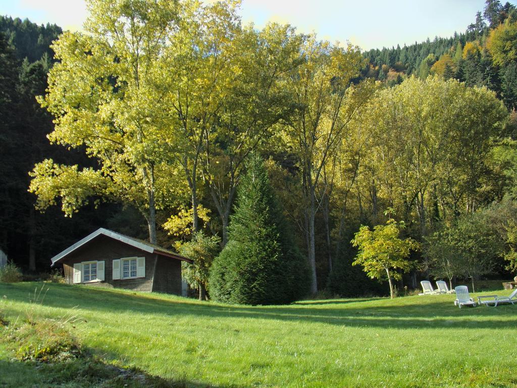 Hotel Hotel-spa&restaurant Logis Domaine Langmatt