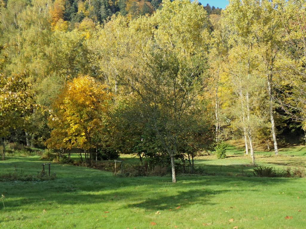 Hotel-spa&restaurant Logis Domaine Langmatt Murbach