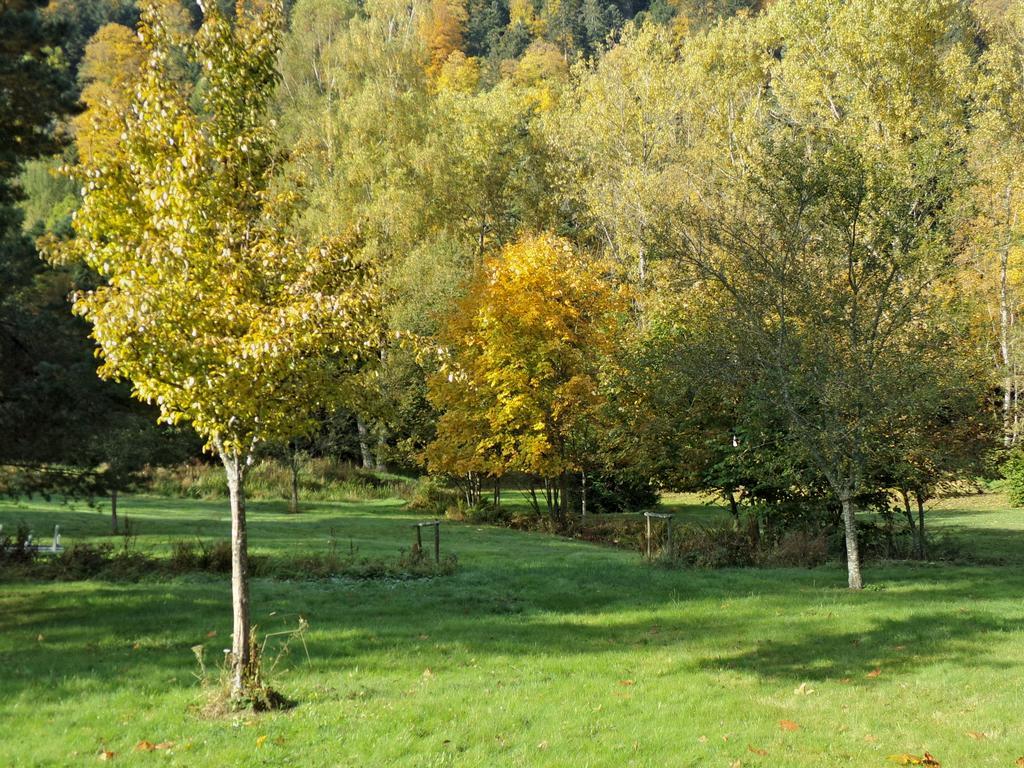 Hotel-spa&restaurant Logis Domaine Langmatt Hotel