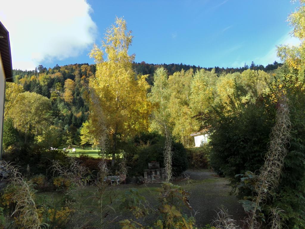 Hotel Hotel-spa&restaurant Logis Domaine Langmatt 4*