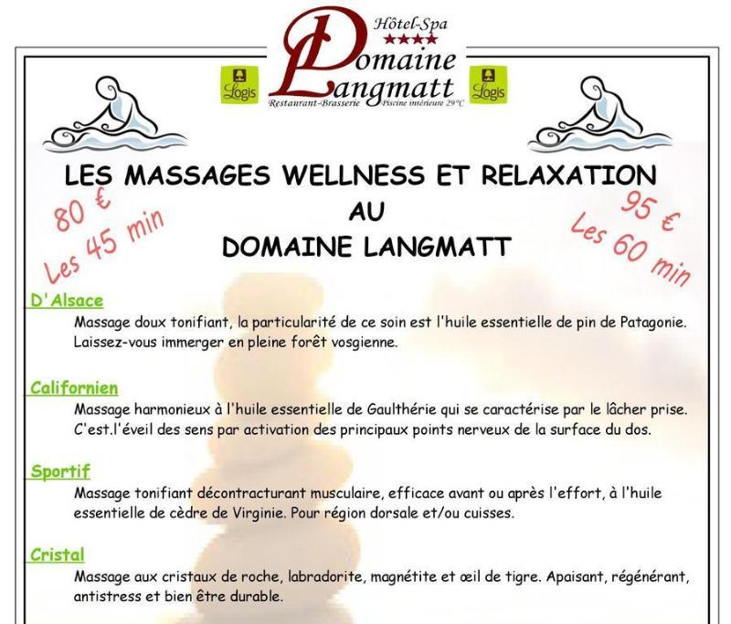 Hotel Hotel-spa&restaurant Logis Domaine Langmatt 4*