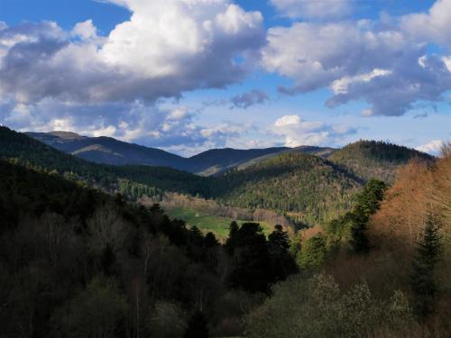 Hotel-spa&restaurant Logis Domaine Langmatt 4*