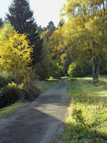 Hotel-spa&restaurant Logis Domaine Langmatt 4*